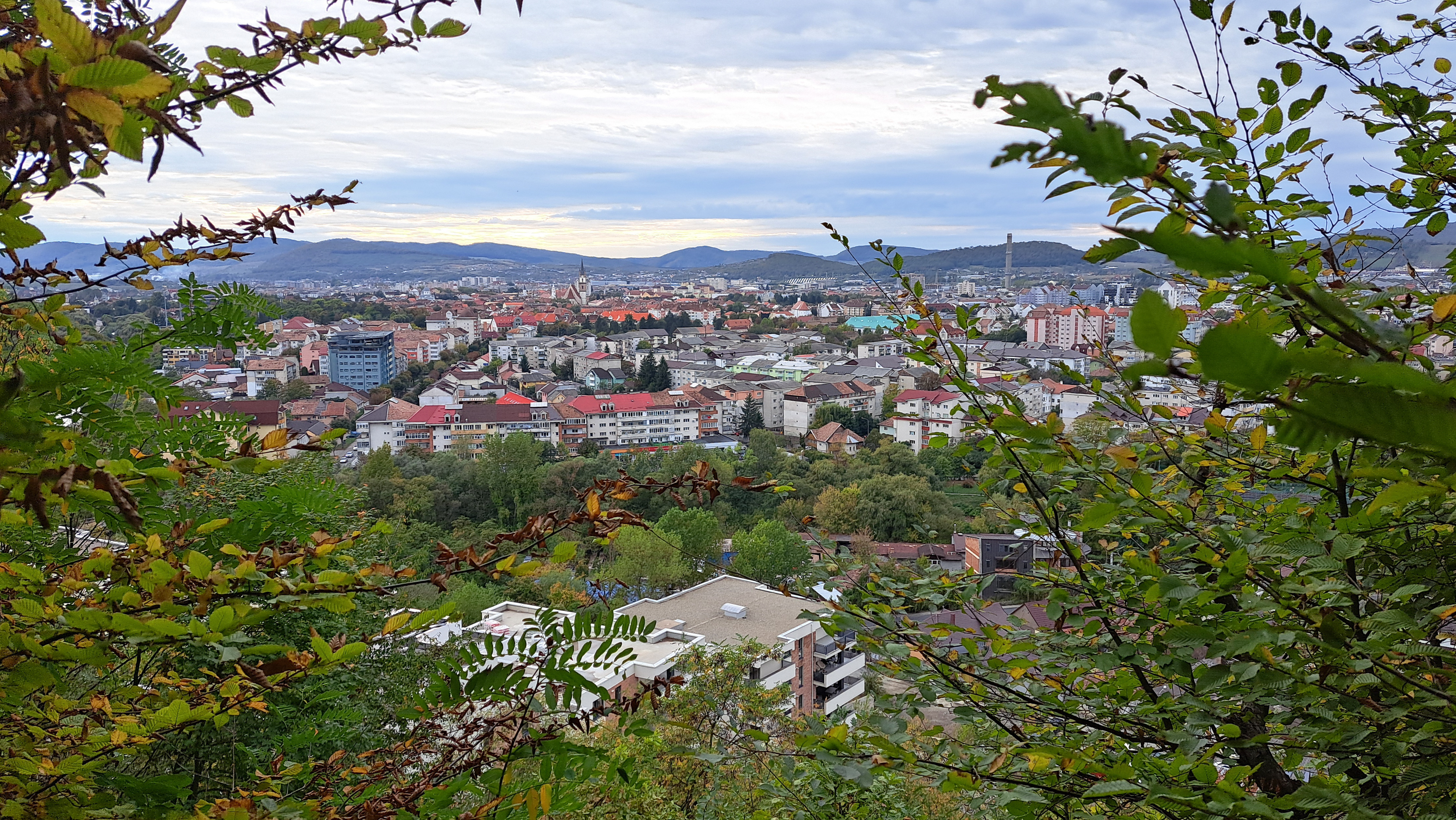 Licitaţie publică deschisă pentru închirierea unei suprafețe de teren
