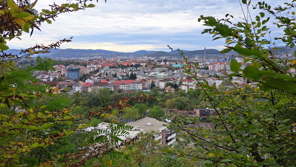 Anunț public